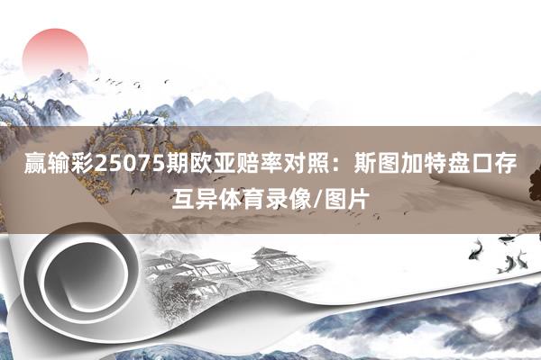 赢输彩25075期欧亚赔率对照：斯图加特盘口存互异体育录像/图片
