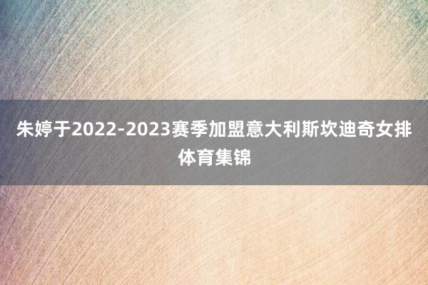 朱婷于2022-2023赛季加盟意大利斯坎迪奇女排体育集锦