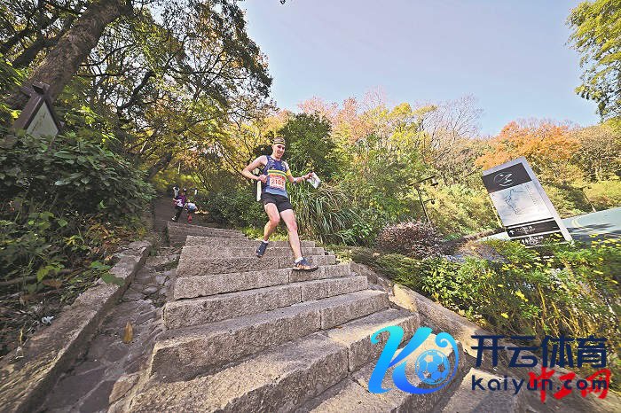 3251713_tpzz_1765259478992_b