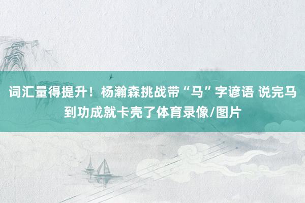 词汇量得提升！杨瀚森挑战带“马”字谚语 说完马到功成就卡壳了体育录像/图片