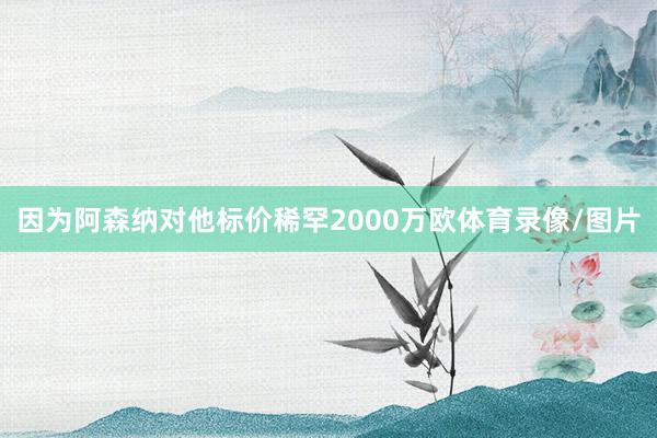 因为阿森纳对他标价稀罕2000万欧体育录像/图片
