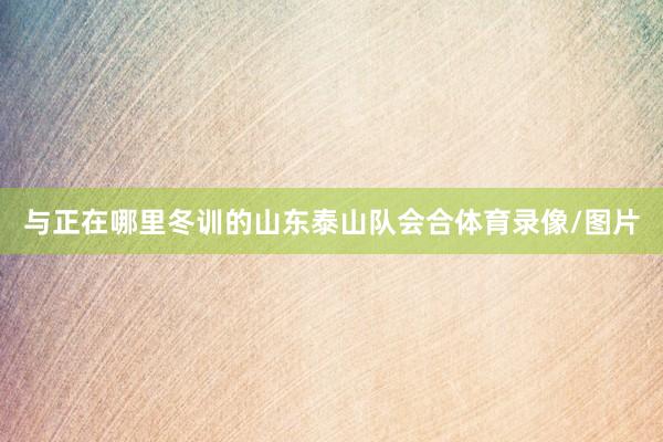 与正在哪里冬训的山东泰山队会合体育录像/图片