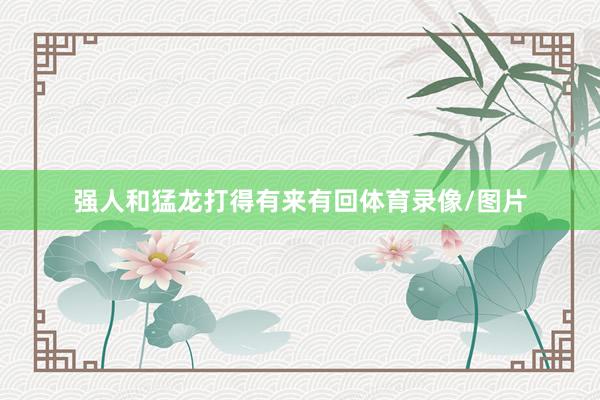 强人和猛龙打得有来有回体育录像/图片