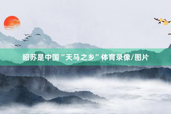 昭苏是中国“天马之乡”体育录像/图片