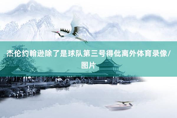 杰伦约翰逊除了是球队第三号得仳离外体育录像/图片
