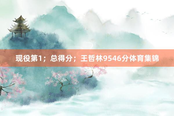 现役第1；总得分；王哲林9546分体育集锦