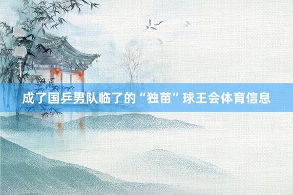 成了国乒男队临了的“独苗”球王会体育信息