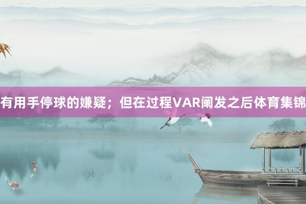 有用手停球的嫌疑；但在过程VAR阐发之后体育集锦