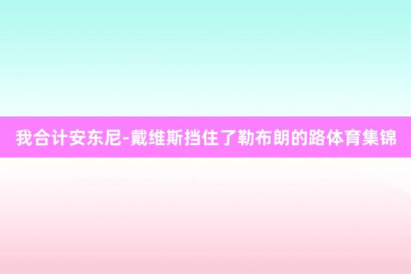 我合计安东尼-戴维斯挡住了勒布朗的路体育集锦