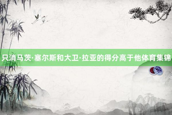 只消马茨·塞尔斯和大卫·拉亚的得分高于他体育集锦