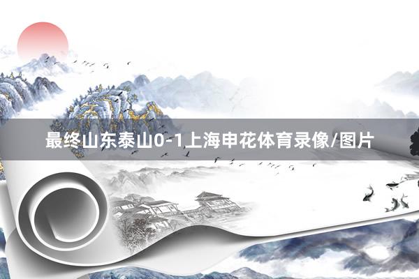 最终山东泰山0-1上海申花体育录像/图片