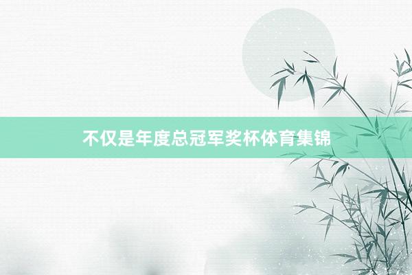不仅是年度总冠军奖杯体育集锦