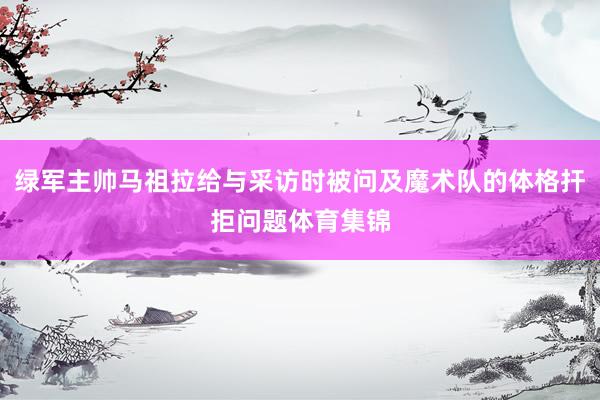 绿军主帅马祖拉给与采访时被问及魔术队的体格扞拒问题体育集锦
