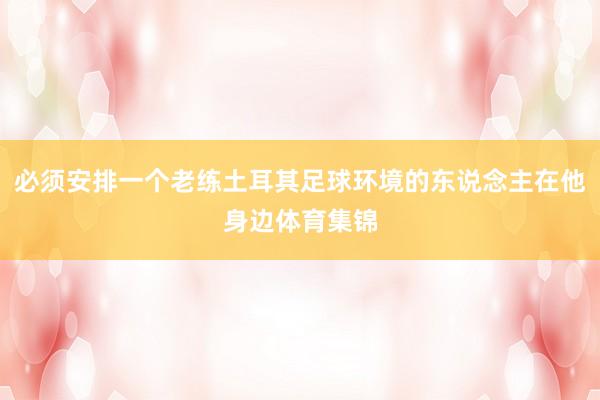 必须安排一个老练土耳其足球环境的东说念主在他身边体育集锦