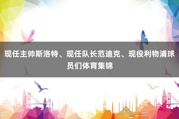 现任主帅斯洛特、现任队长范迪克、现役利物浦球员们体育集锦