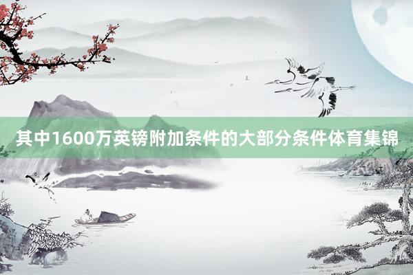 其中1600万英镑附加条件的大部分条件体育集锦