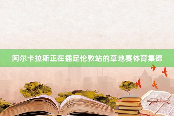 阿尔卡拉斯正在插足伦敦站的草地赛体育集锦