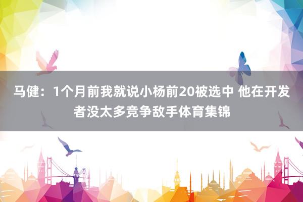 马健：1个月前我就说小杨前20被选中 他在开发者没太多竞争敌手体育集锦