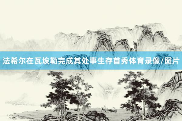 法希尔在瓦埃勒完成其处事生存首秀体育录像/图片