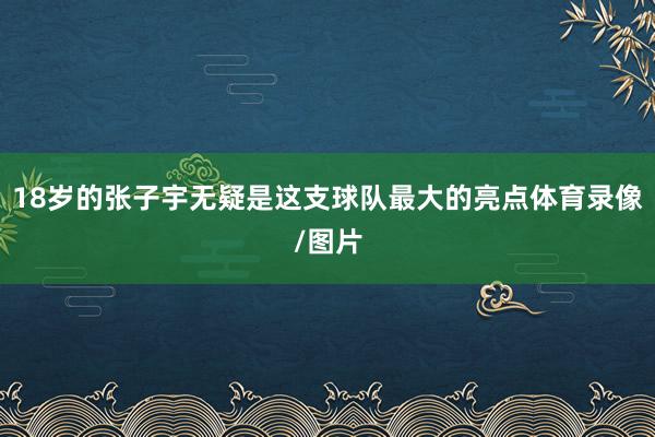 18岁的张子宇无疑是这支球队最大的亮点体育录像/图片