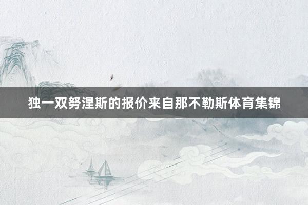 独一双努涅斯的报价来自那不勒斯体育集锦