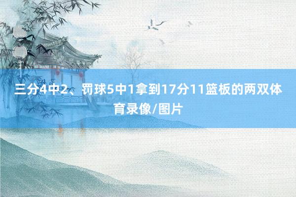 三分4中2、罚球5中1拿到17分11篮板的两双体育录像/图片