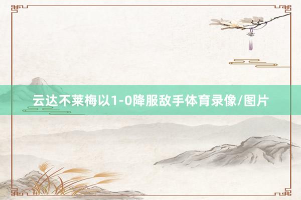云达不莱梅以1-0降服敌手体育录像/图片