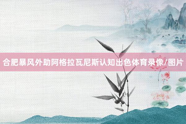合肥暴风外助阿格拉瓦尼斯认知出色体育录像/图片