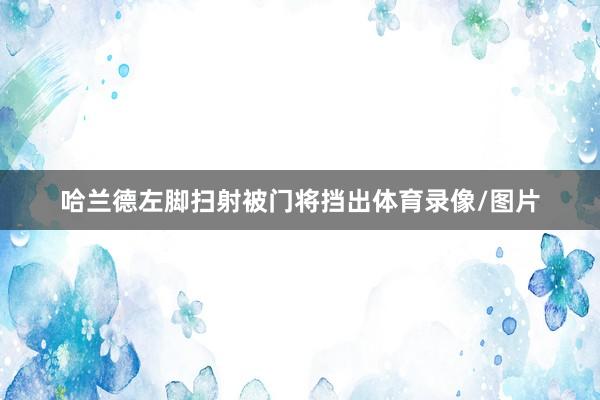 哈兰德左脚扫射被门将挡出体育录像/图片