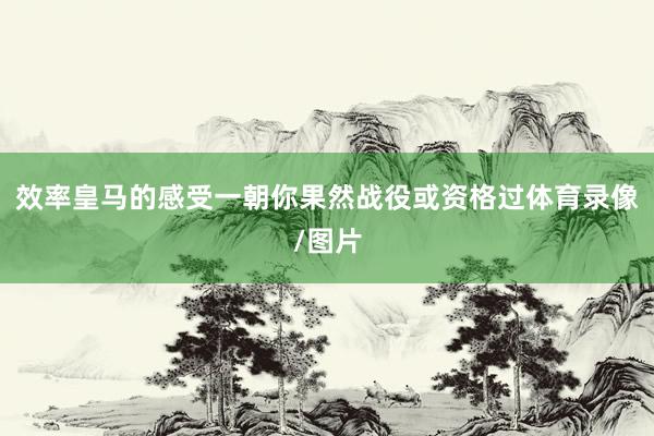效率皇马的感受一朝你果然战役或资格过体育录像/图片
