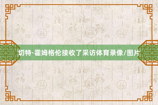 切特·霍姆格伦接收了采访体育录像/图片