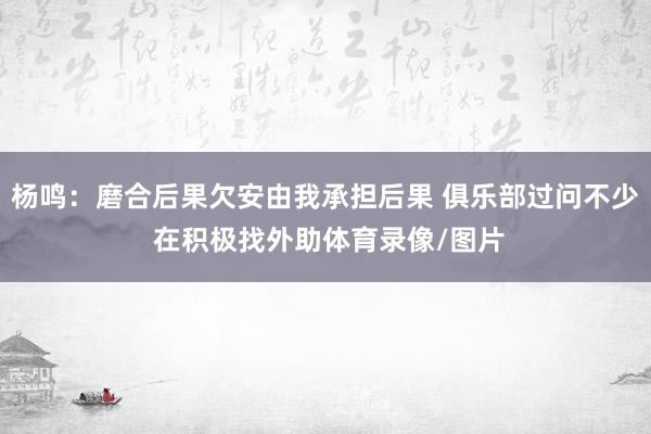 杨鸣：磨合后果欠安由我承担后果 俱乐部过问不少 在积极找外助体育录像/图片