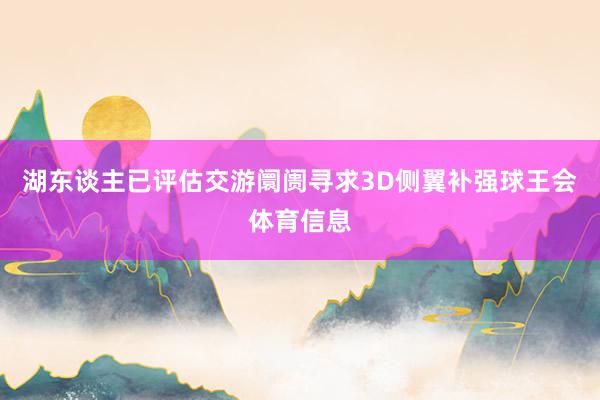 湖东谈主已评估交游阛阓寻求3D侧翼补强球王会体育信息