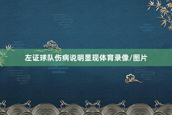 左证球队伤病说明显现体育录像/图片
