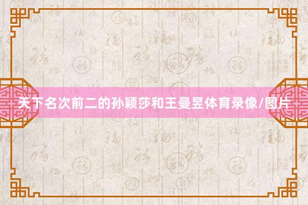 天下名次前二的孙颖莎和王曼昱体育录像/图片