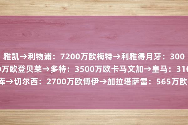 雅凯→利物浦:7200万欧梅特→利雅得月牙:3000万欧杜埃→巴黎:5000万欧登贝莱→多特:3500万欧卡马文加→皇马:3100万欧乌戈丘库→切尔西:2700万欧博伊→加拉塔萨雷:565万欧特尔→拜仁:2000万欧 球王会体育信息