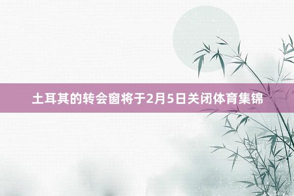 土耳其的转会窗将于2月5日关闭体育集锦