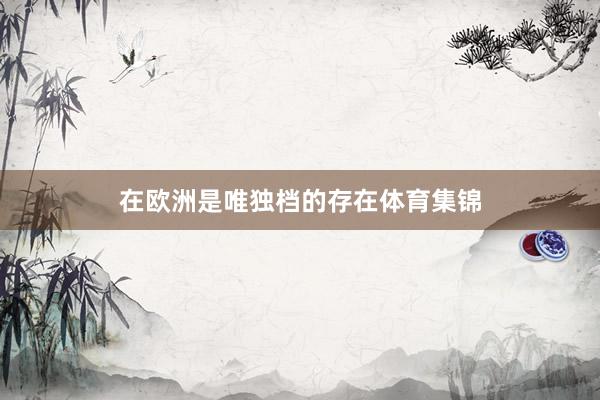 在欧洲是唯独档的存在体育集锦