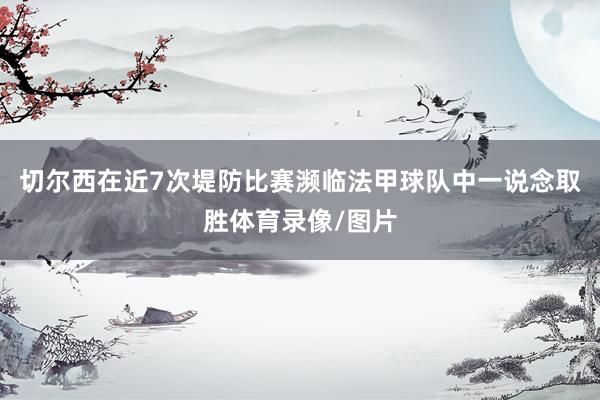 切尔西在近7次堤防比赛濒临法甲球队中一说念取胜体育录像/图片