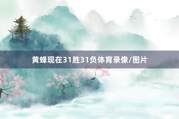 黄蜂现在31胜31负体育录像/图片