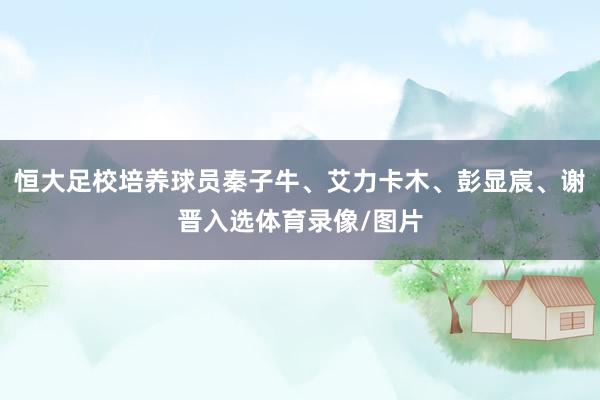 恒大足校培养球员秦子牛、艾力卡木、彭显宸、谢晋入选体育录像/图片