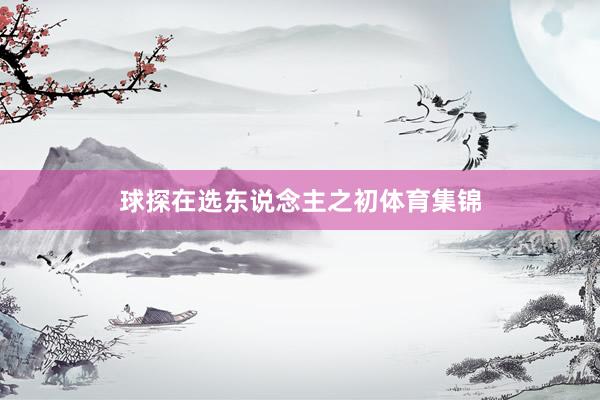 球探在选东说念主之初体育集锦