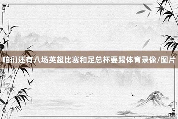 咱们还有八场英超比赛和足总杯要踢体育录像/图片