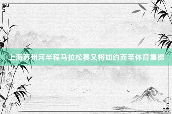 上海苏州河半程马拉松赛又将如约而至体育集锦