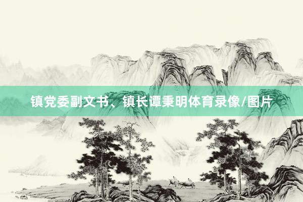 镇党委副文书、镇长谭秉明体育录像/图片
