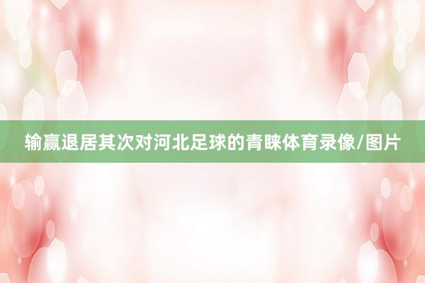输赢退居其次对河北足球的青睐体育录像/图片