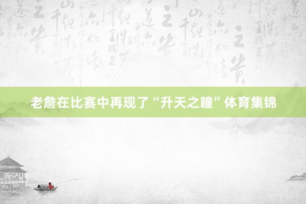 老詹在比赛中再现了“升天之瞳”体育集锦