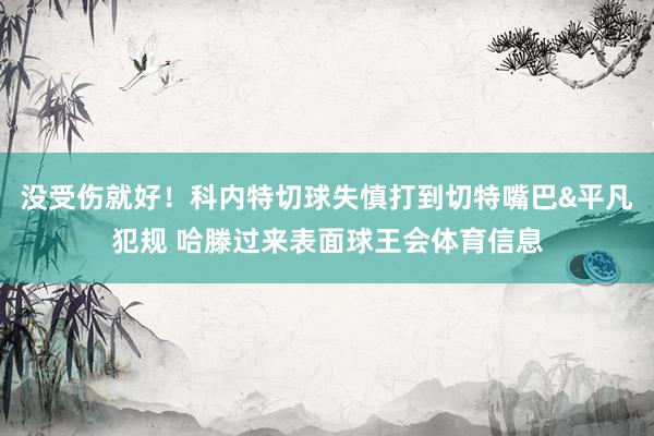没受伤就好！科内特切球失慎打到切特嘴巴&平凡犯规 哈滕过来表面球王会体育信息